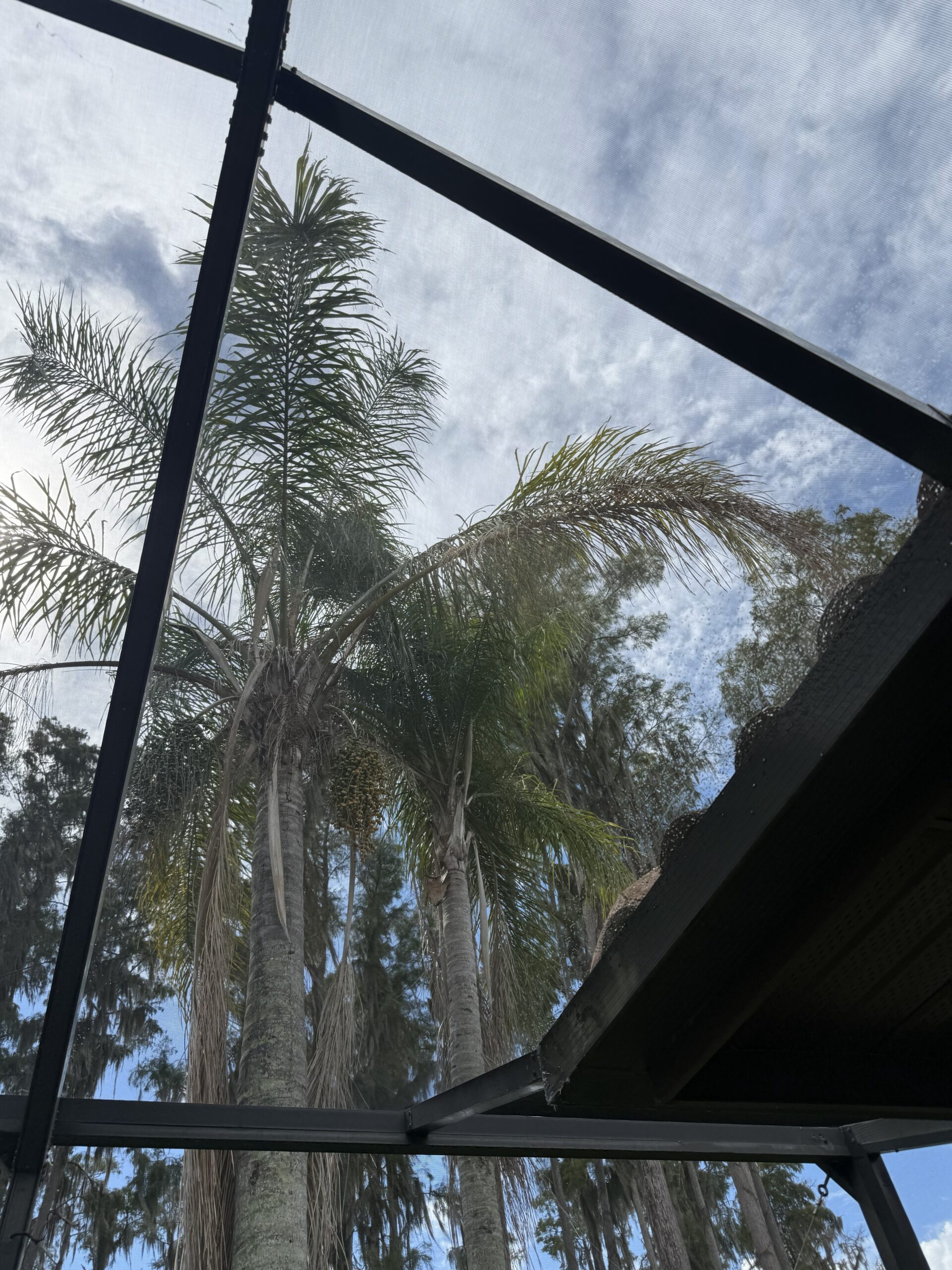 patio screen restoration